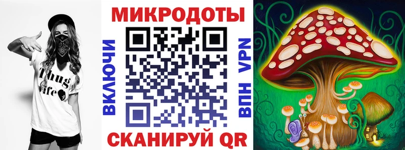Купить где  Осинники  Галлюциногенные грибы Psilocybe 