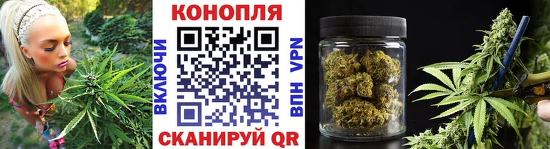 Купить где  Осинники  Марихуана Bruce Banner 